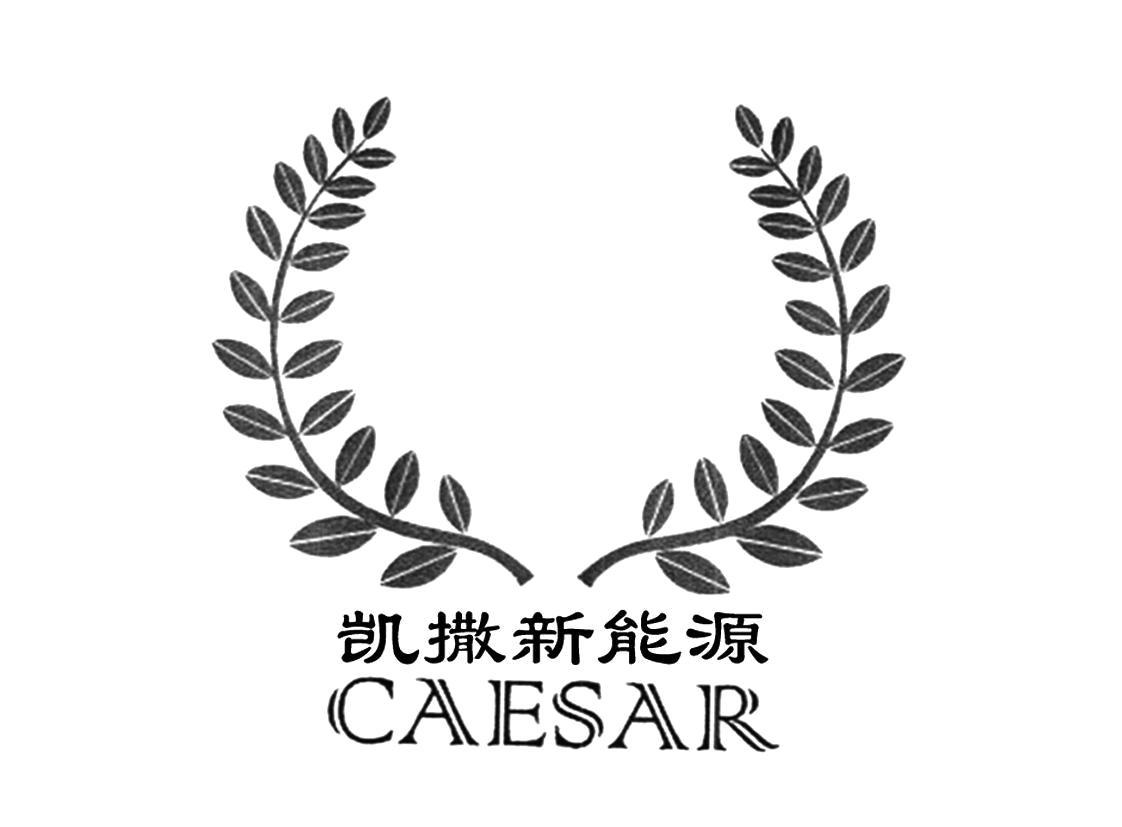 凯撒新能源 CAESAR商标_申请/注册号67467137 - 企查查