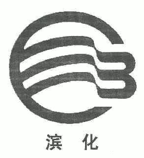 滨化集团股份有限公司知识产权 - 企查查