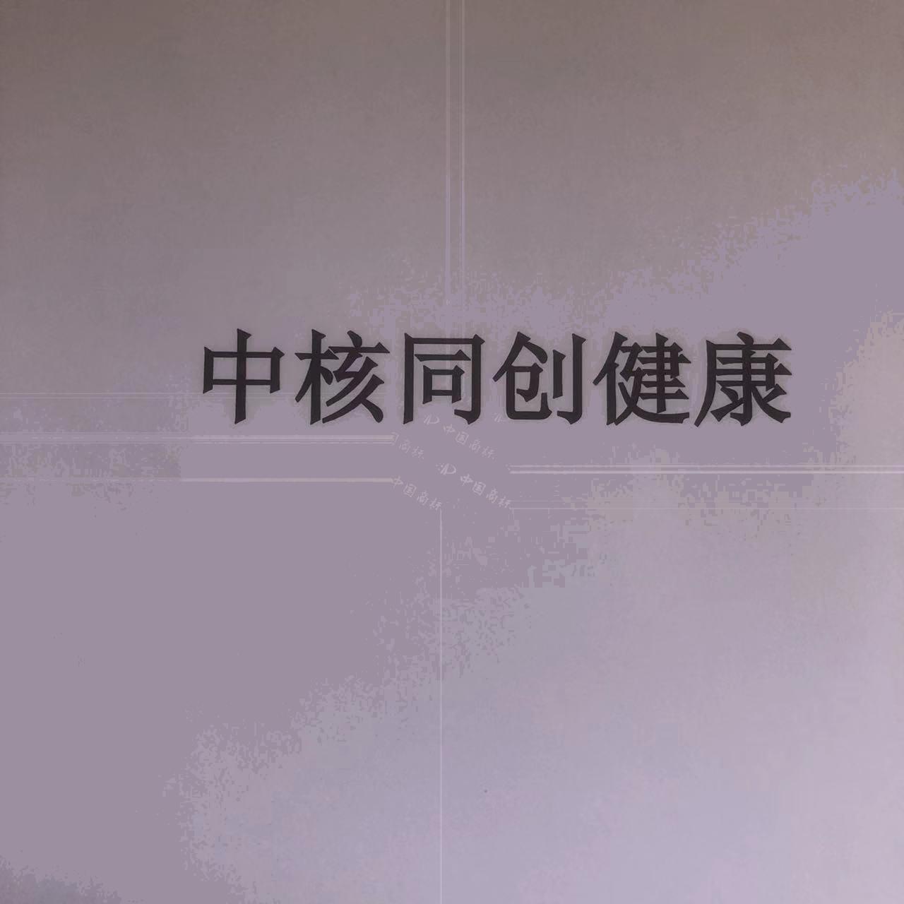 中核同创（上海）科技发展有限公司 - 企查查