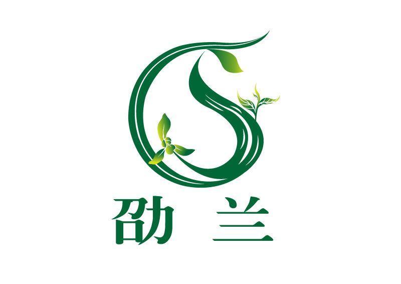 息县信弘商贸中心盛大开业助力县域经济发展