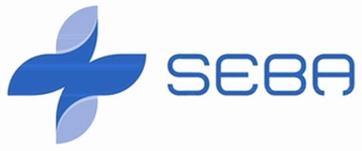 Seba System Logo SEBA商标_申请/注册号85571408 - 企查查