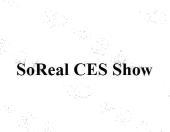 SOREAL CES SHOW商标_申请/注册号77093991 - 企查查