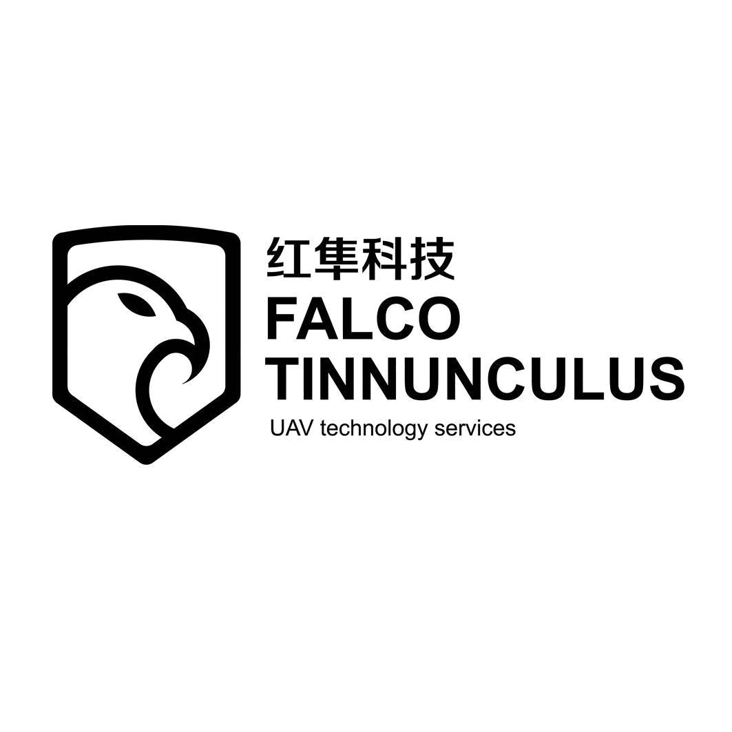红隼科技 FALCO TINNUNCULUS UAV TECHNOLOGY SERVICES商标_申请/注册号22000376 - 企查查